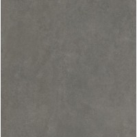 BIEN0015 Arcides Grey Rec Gp 600x600x8,5