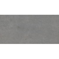 BIEN0033 Arcides Grey Rec 600x1200x9