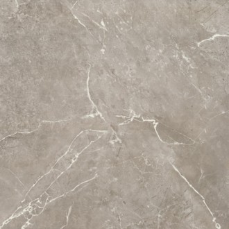 BIEN0038 Imperial Glossy Grey Rec 600x600x8,5