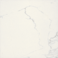 BIEN0059 Adonis Matte White Rec 600x600x8,5