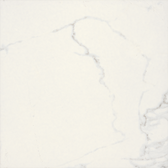 BIEN0059 Adonis Matte White Rec 600x600x8,5