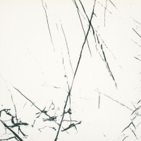 BIEN0060 Agatha White Rec Маtt 600x600x8