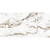 BRECCIA TORTONA LAP RT 60x120