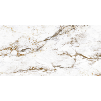 BRECCIA TORTONA LAP RT 60x120