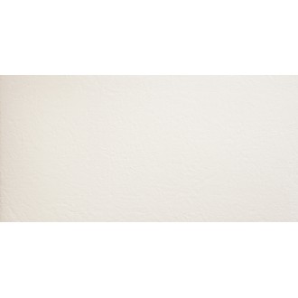 BURRO6 12 60x120