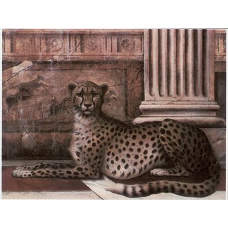 B Noblesse A (Ghepardo) 15x20