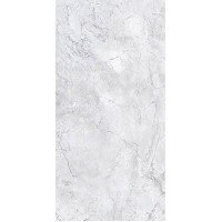 Bahia Silver Polished Mix 160x320