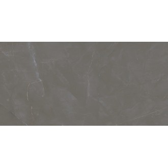 Baltimore коричневый 60х120