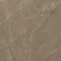 Baltimore коричневый 60х60