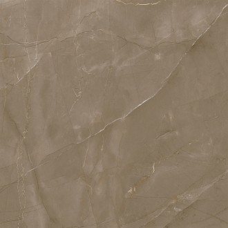 Baltimore коричневый 60х60