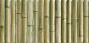 Bamboo Green 30x15
