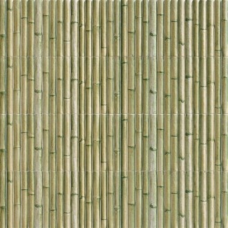Bamboo Green 30x15