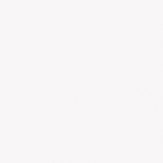 Керамогранит Barcelona Blanco P 25x25