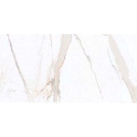 Beiker Polished Carara 60x120