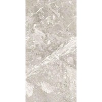 Belcastel Silver Rec. 60x120