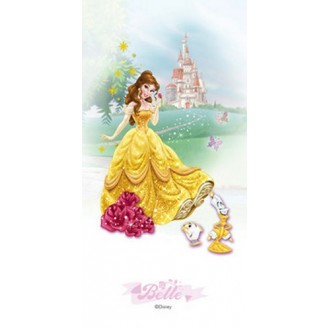 Belle 30*60