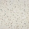 Belstone Bone MT 60x60