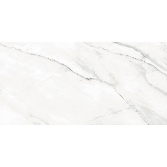 Керамогранит Bianco Avаrio PGVT 60x120