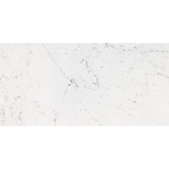 Bianco Pulido 58,6x118,7