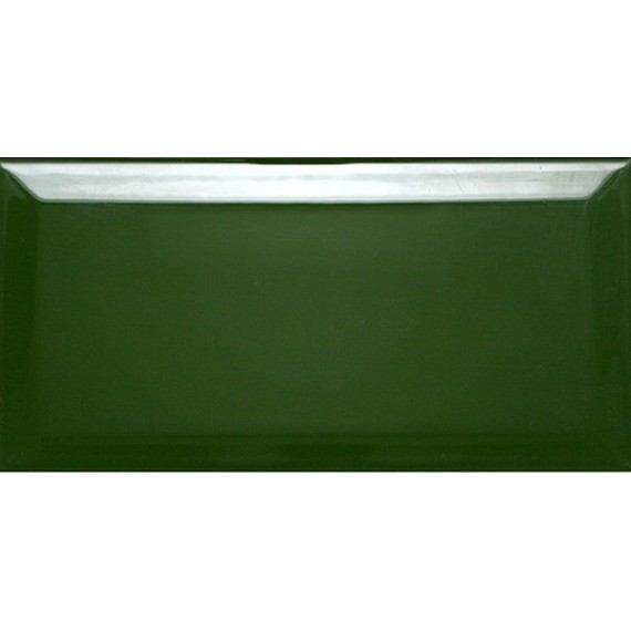 Керамическая плитка Biselado Botella Brillo 10х20