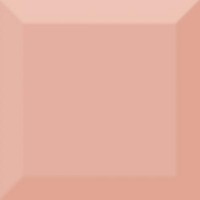 Biselado Brillo Coral 10x10