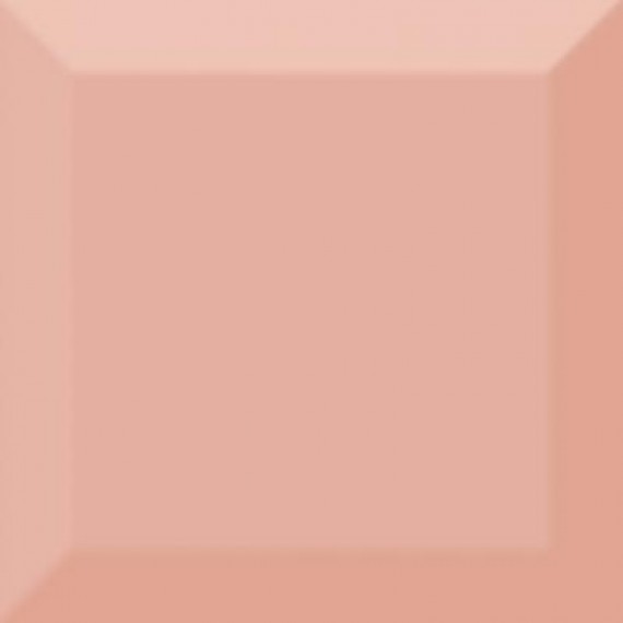 Керамическая плитка Biselado Brillo Coral 10x10