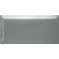 Biselado Plata Brillo 10х20