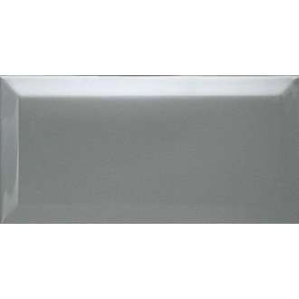 Biselado Plata Brillo 10х20