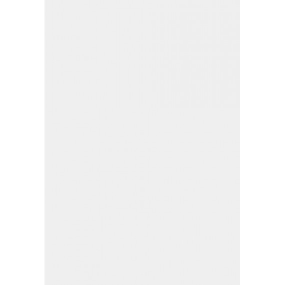 Керамогранит Blanco Brillo 23*33.5