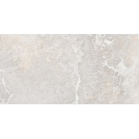 Blaze Silver светло-серый 60х120