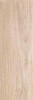 Blond beige PG 01 20х60