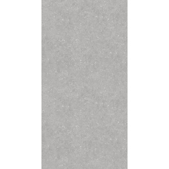 Bluestone Light 60x120