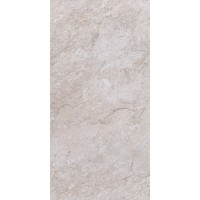 Bologna Silver Matt 60x120