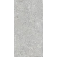 Borgogna Silver Matt 160x320