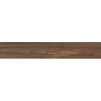 Boutonne Cognac Pulido R 20x120