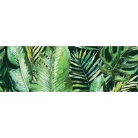 Braga Tropic A Rect 25x75