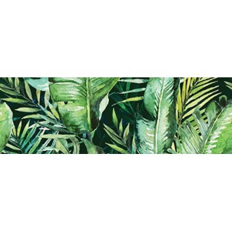 Braga Tropic B Rect 25x75