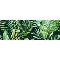 Braga Tropic C Rect 25x75