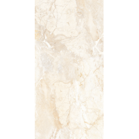 Brazilian Brown Carving 60x120