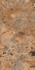 Breccia Fantastico Brown 80x160
