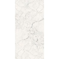 Breccia Silver Carving 60x120