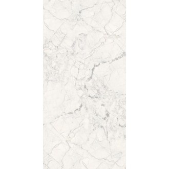Breccia Silver Carving 60x120
