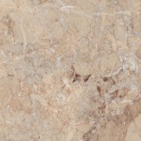 Brecia Antic Brown Полированный 60х60