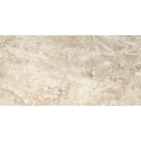 Brecia Silver PGVT 60x120