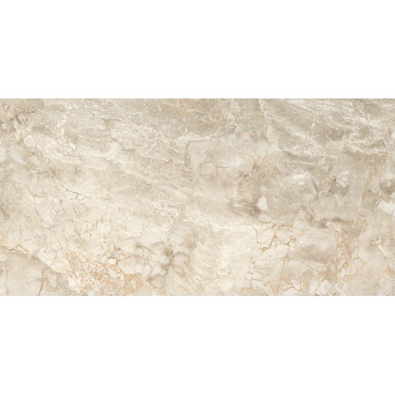 Керамогранит Brecia Silver PGVT 60x120