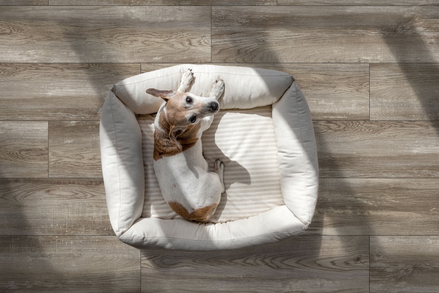 Bremen Global Tile