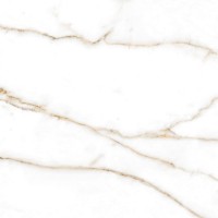 Brera Gold Compacglass 60x60