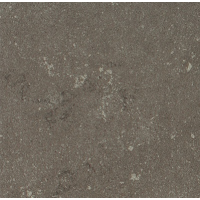 Buxy Cendre 100x100