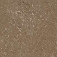 Buxy Noisette 100x100