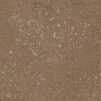 Buxy Noisette 100x100